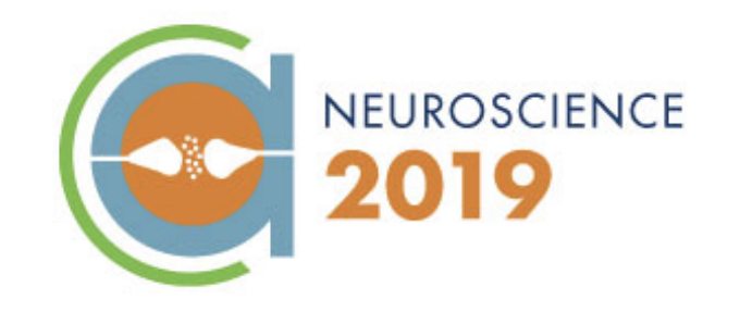 SfN 2019