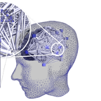 NFDI-Neuro Webinar Series