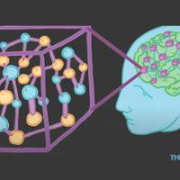 TVB-EBRAINS illustration brain net